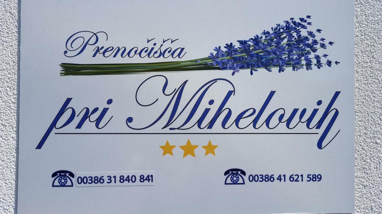 Guesthouse Pri Mihelovih Sezana ภายนอก รูปภาพ